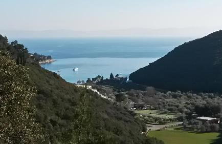 Home Lotus Flower - Foto 16