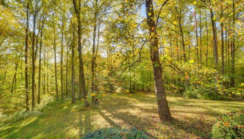 Stanardsville Cabin Rental about 24 Mi to Shenandoah! - Foto 2