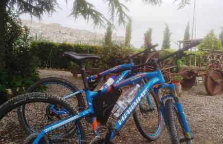 Agriturismo La Pietriccia - Foto 38