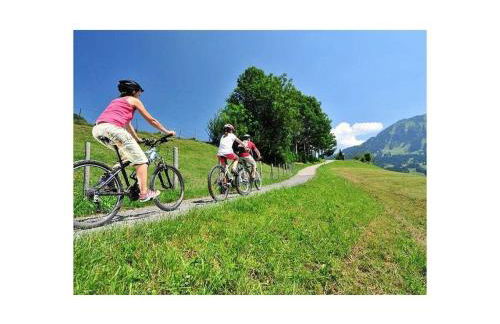 Holzer Feng Shui - Foto 37