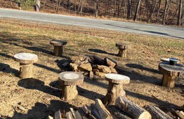 Carlton Cabin at Lake of Egypt 500 Sq Ft - Photo 16