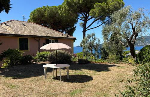 The terrace on Portofino Appartamento Terrazzo Portofino - Foto 39