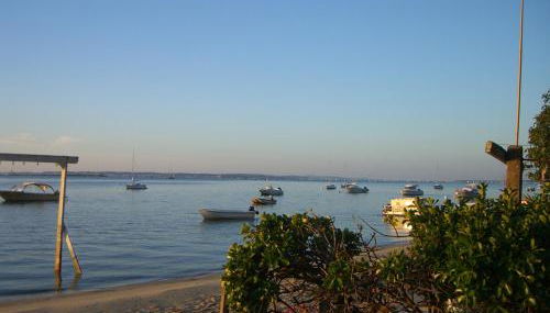 Entre dune et plage Les Jacquets Cap Ferret - Foto 5