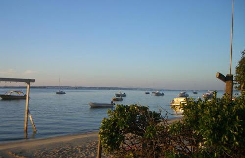 Entre dune et plage Les Jacquets Cap Ferret - Foto 5