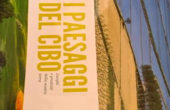 Casa Lucia 5th Floor - Photo 31