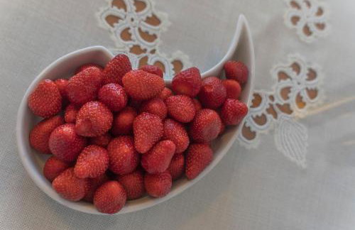 Apartment Vana - Foto 32