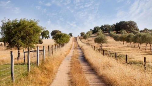 Casa do Vale da Terra Negra - Foto 2