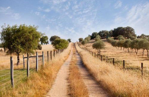 Casa do Vale da Terra Negra - Foto 2