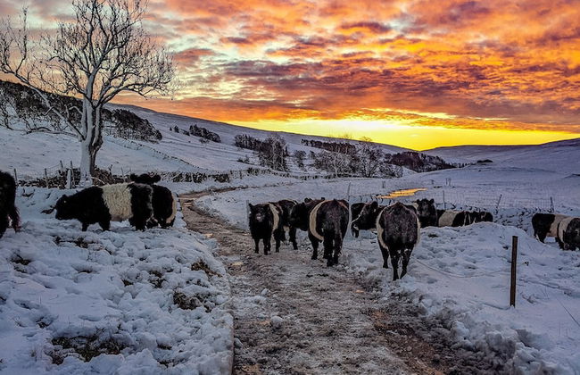 Nethergill Haylofts - Foto 13