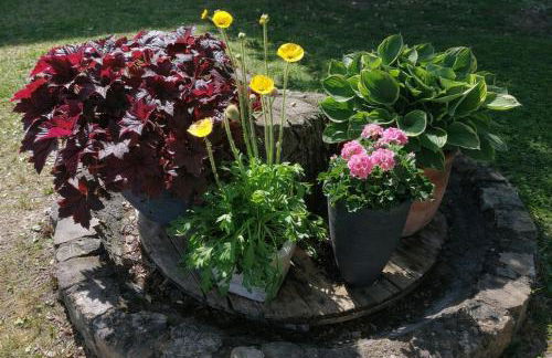 Bahnhof Droyßig - Übernachten im Denkmal - Foto 34