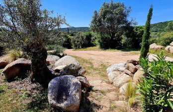 Bergerie A Sapara - Foto 23