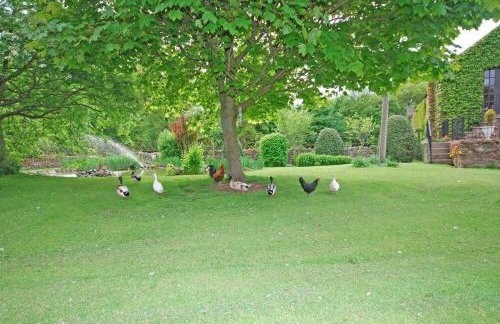 Croft Cottage Yeavering - Photo 17