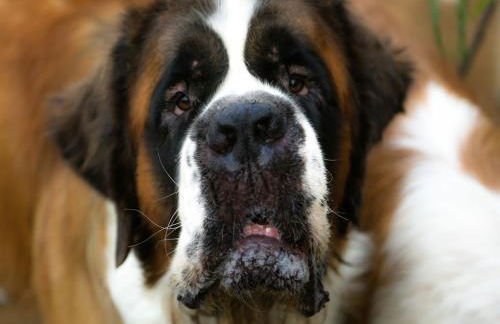 Andalusian Countryside Stay - Foto 29