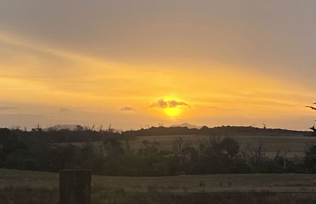 Icena Farm Accommodation - Foto 33