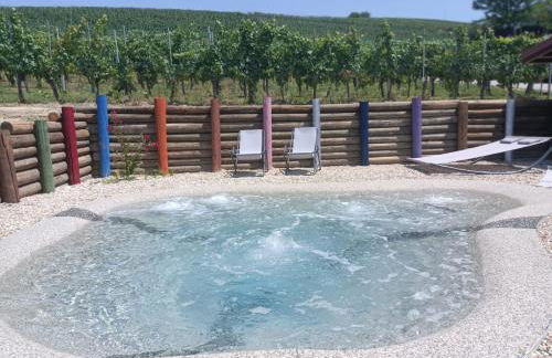 Agriturismo Vitae di Langa - Foto 76