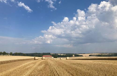 Laufenten Loft - Gutshof Dobschütz Bauernhof - Foto 16