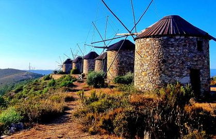 Quinta do Cabril - Foto 24