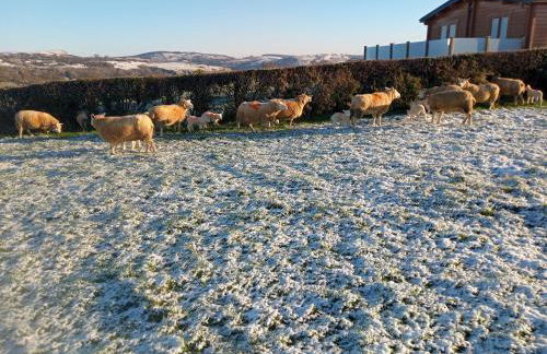 Scarlett Lodge - Photo 18