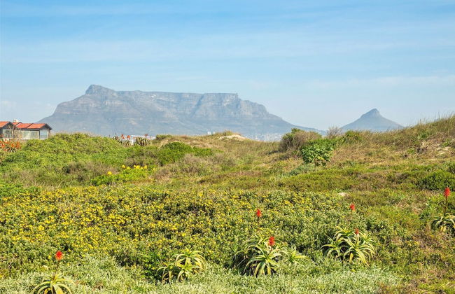 Marechale Way - Photo 42