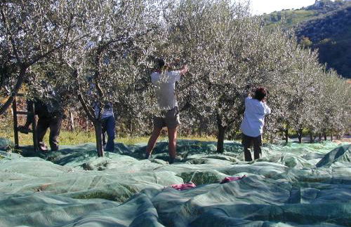 Agriturismo Il Portico - Photo 32