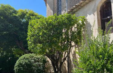 La Boissetane, maison provençale avec piscine et jardin, au pied du Luberon - Foto 24