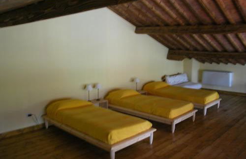 Fattoria di Migliarino - Foto 3