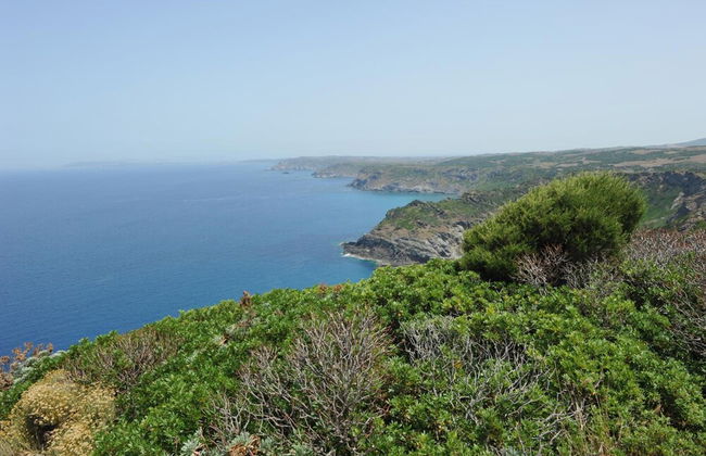 Agriturismo Finagliosu - Photo 59