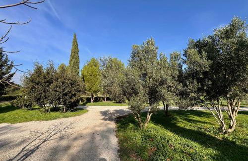 Mas d Anissa - Photo 3