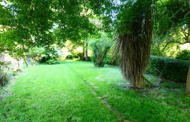 Green Leas - Foto 12