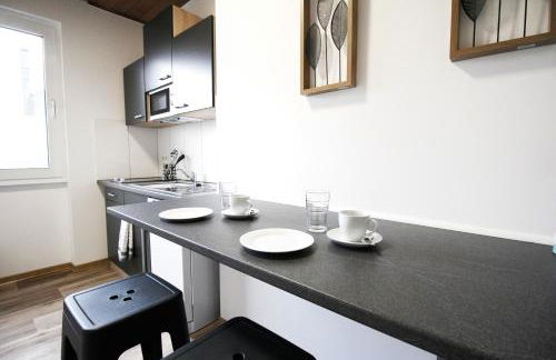 SH Team Lodges 4 Apartments für max 19 Personen l Monteure l Messe l Business - Photo 30