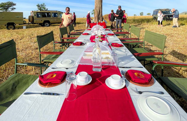 Balloon Ride Over Serengeti National Park - Foto 10