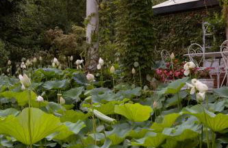 Relais La Foleia - Luxury Villa with private lake - Foto 21