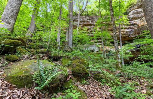 Beech Timber- 30 Acre Secluded Glamping in RRG - Foto 33