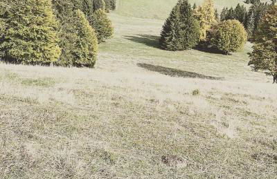 Sporty vacation home - Foto 53