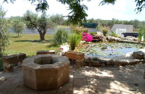 Villa Martina nel Salento - Foto 31