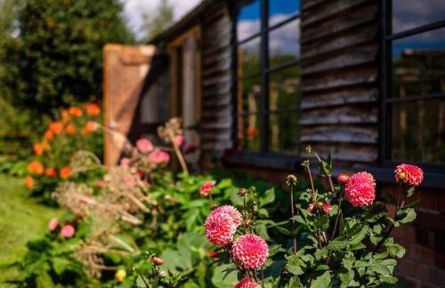 Medieval Manor House - Foto 10