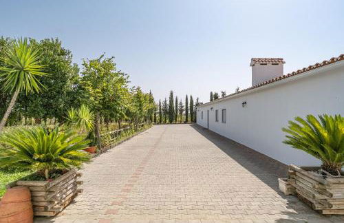 Monte de Palma- Quinta Biodinâmica Momentos Únicos - Foto 45