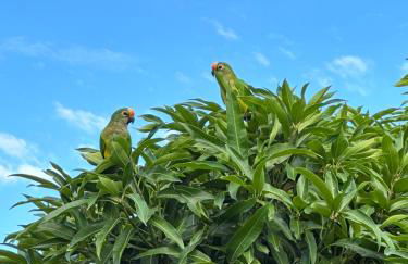 Apê Central Bonito - Foto 15