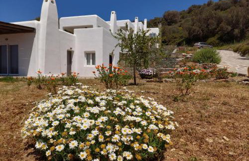 SkiNAmmos Eco Villas - Photo 96