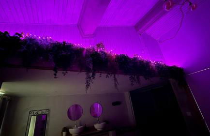 le joyau de la cite - Foto 4