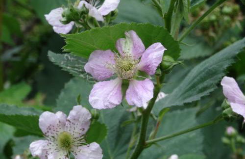 Agriturismo Alba - Photo 24