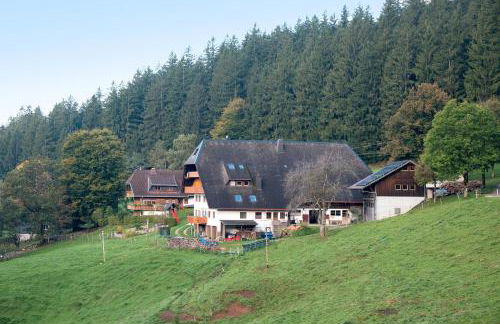Kapfenmathishof Urlaubsbauernhof - Foto 5