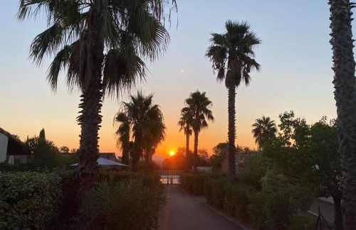 Green village - Foto 23