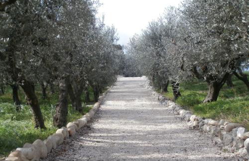 L'Ulivo Bianco - Foto 35