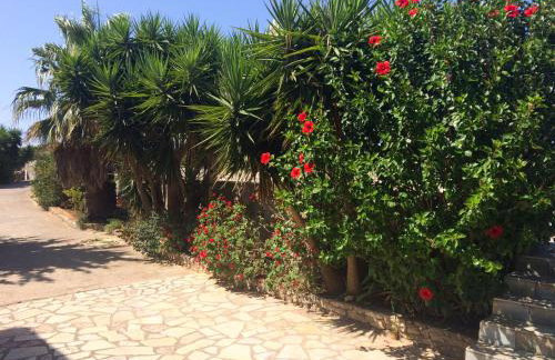 Green Parrot Apartments - Foto 42