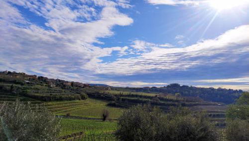 Agriturismo CarpinoNero - Photo 5