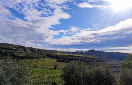 Agriturismo CarpinoNero - Photo 5