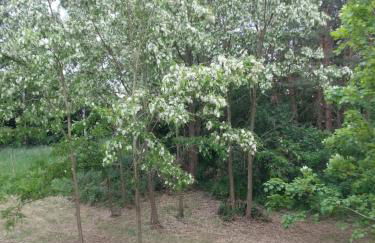 Große Wohnung - Foto 22