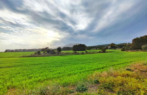 Casa con piscina en L'Estartit - Foto 24