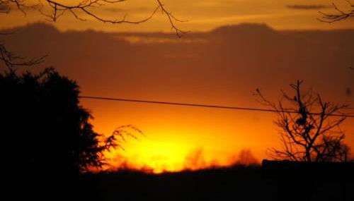 Ferienhof Schwienhorst - Foto 5